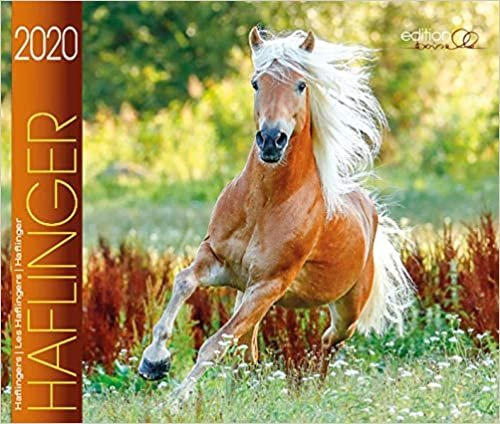 okumak Boiselle, G: Haflinger 2020