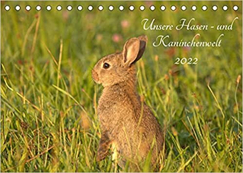 okumak Unsere Hasen - und Kaninchenwelt (Tischkalender 2022 DIN A5 quer): Beobachten Sie doch mit mir die heimische Tierwelt, z. B. die flinken Feldhasen und ... 14 Seiten ) (CALVENDO Tiere)
