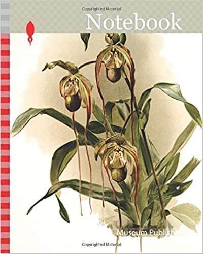 okumak Notebook: Orchid, Selenipedium hybridum nitidissimum, Sander, F. (Frederick), 1847-1920, Leutzsch, Gustav, Lithographer, Moon, H. G, Artist