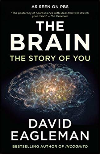 The المخ: قصة ً ا لك