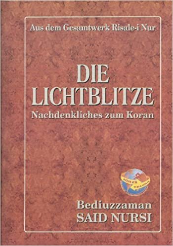 okumak Die Lichtblitze (Almanca)