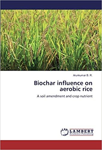 okumak Biochar influence on aerobic rice: A soil amendment and crop nutrient