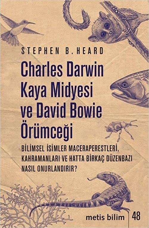 okumak Charles Darwin Kaya Midyesi ve David Bowie Örümceği