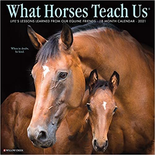 okumak What Horses Teach Us 2021 Calendar