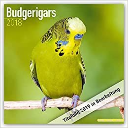 okumak Budgerigars - Wellensittiche 2021: Original Avonside-Kalender [Mehrsprachig] [Kalender] (Wall-Kalender)