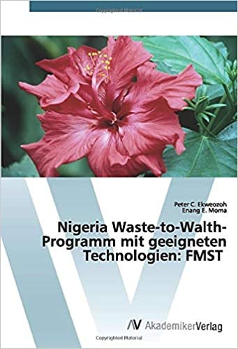 okumak Nigeria Waste-to-Walth-Programm mit geeigneten Technologien: FMST