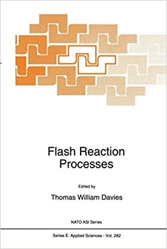 okumak Flash Reaction Processes (Nato Science Series E: (Closed))