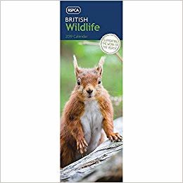 okumak British Wildlife, RSPCA S 2019