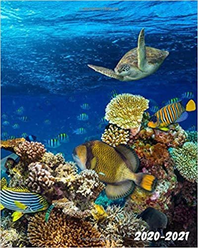 okumak 2020-2021: Pretty Marine Life 2 Year Daily Weekly Planner Organizer with To-Do’s, U.S. Holidays &amp; Inspirational Quotes, Vision Boards &amp; Notes | Two ... Schedule Notebook | Underwater Coral Reef