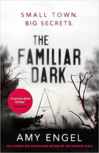 okumak The Familiar Dark: The spellbinding book club thriller of 2020 that will blow you away