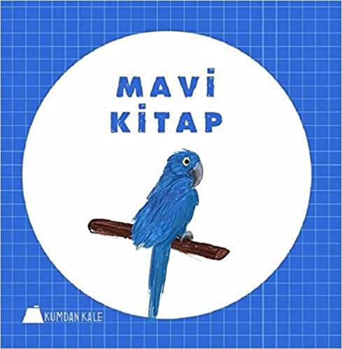 okumak Mavi Kitap