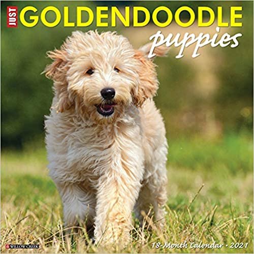 okumak Just Goldendoodle Puppies 2021 Calendar