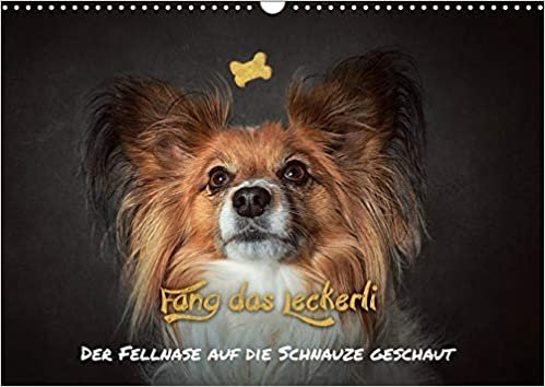 okumak Schöberl, J: Fang das Leckerli! (Wandkalender 2019 DIN A3 qu