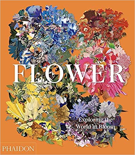 okumak Flower: Exploring the World in Bloom