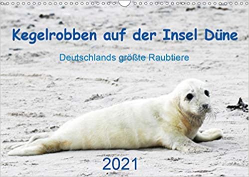 okumak Kegelrobben auf der Insel Düne (Wandkalender 2021 DIN A3 quer): Helgoländer Kegelrobben in Text und Bild (Monatskalender, 14 Seiten )