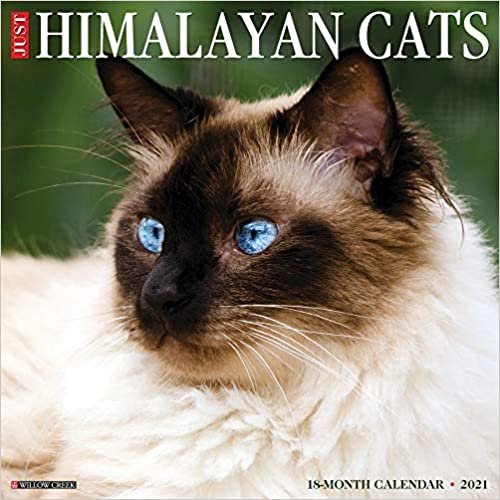 okumak Himalayan Cats 2021 Calendar