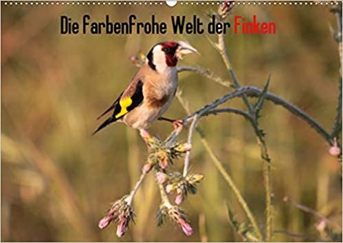 okumak Die farbenfrohe Welt der Finken (Wandkalender 2021 DIN A2 quer): Einblicke in die Welt der Finken (Monatskalender, 14 Seiten )
