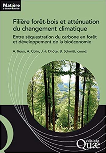 okumak Filière forêt-bois française et atténuation du changement climatique: Entre séquestration du carbone en forêt et développement de la bioéconomie (Matière à débattre &amp; décider)