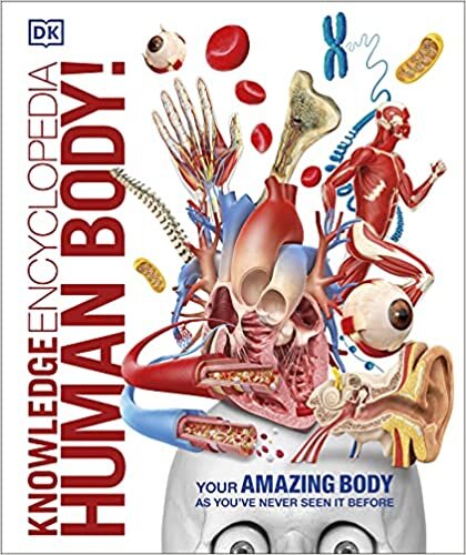 okumak Knowledge Encyclopedia Human Body!