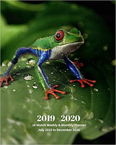 okumak 2019 - 2020 | 18 Month Weekly &amp; Monthly Planner July 2019 to December 2020: Red-Eyed Tree Frog Mexico Tropical Frog Monthly Calendar with U.S./UK/ ... Holidays– Calendar in Review/Notes 8 x 10 in.