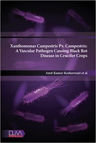 Xanthomonas Campestris Pv. Campestris: A Vascular Pathogen Causing Black Rot Disease in Crucifer Crops