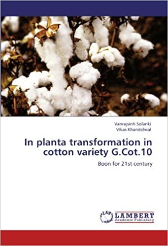 okumak In planta transformation in cotton variety  G.Cot.10: Boon for 21st century