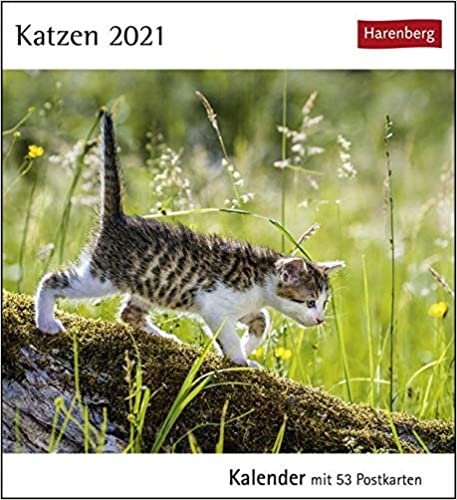 okumak Katzen 2021: Kalender mit 53 Postkarten