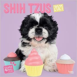 okumak Shih Tzus - Shih Tzu 2021: Original Myrna-Kalender [Mehrsprachig] [Kalender] (Wall-Kalender)