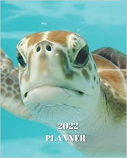 okumak 2022 Planner: Turtle in Mexico - Monthly Calendar with U.S./UK/ Canadian/Christian/Jewish/Muslim Holidays– Calendar in Review/Notes 8 x 10 in.-Nature Animals For Work Business School