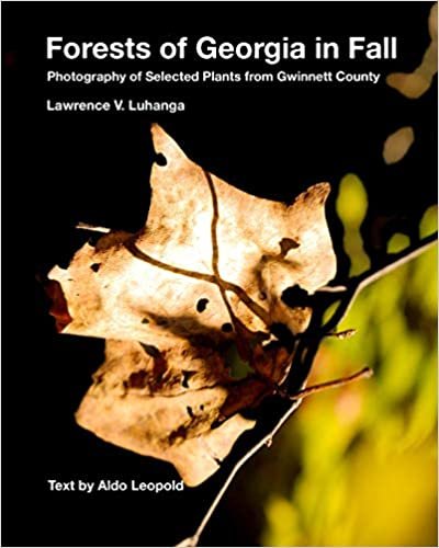 okumak Forests of Georgia in Fall: Photography of Selected Plants from Gwinnett County