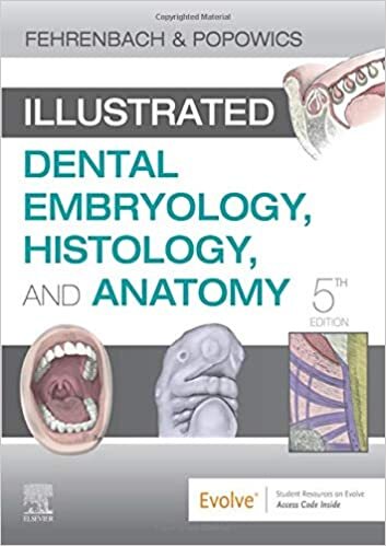 okumak Illustrated Dental Embryology, Histology, and Anatomy
