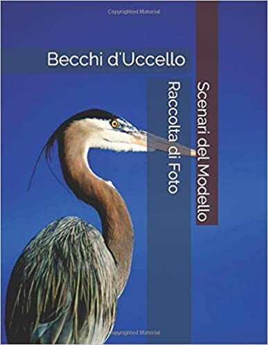 okumak Becchi d&#39;Uccello - Scenari del Modello - Raccolta di Foto