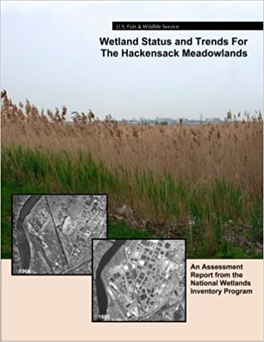 okumak Wetland Status and Trends for the Hackensack Meadowlands: An Assessment Report from the U.S. Fish and Wildlife Service?s National Wetlands Inventory Program