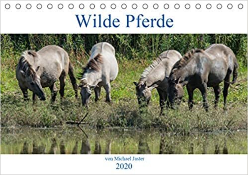 okumak Wilde Pferde von Michael Jaster (Tischkalender 2020 DIN A5 quer): Wilde Pferde von Michael Jaster sind frei und ungezähmt. (Monatskalender, 14 Seiten )