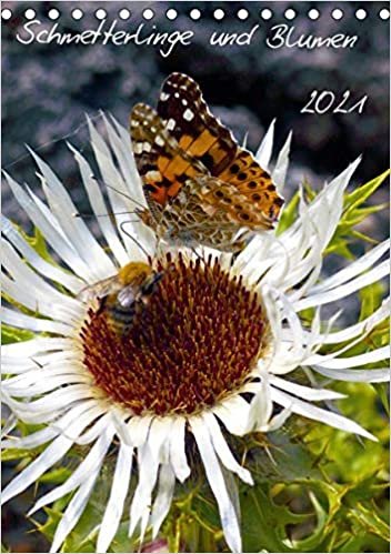 okumak Schmetterlilnge und Blumen (Tischkalender 2021 DIN A5 hoch): Unsere heimischen Schmetterlinge (Monatskalender, 14 Seiten )