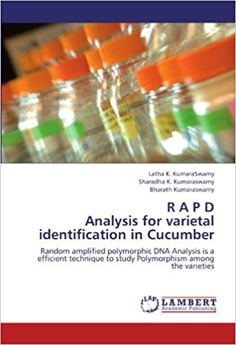 okumak R A P D  Analysis for varietal identification in Cucumber: Random amplified polymorphic DNA Analysis is a efficient technique to study Polymorphism among the varieties
