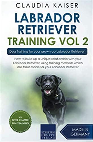 okumak Labrador Retriever Training Vol. 2: Dog Training for your grown-up Labrador Retriever