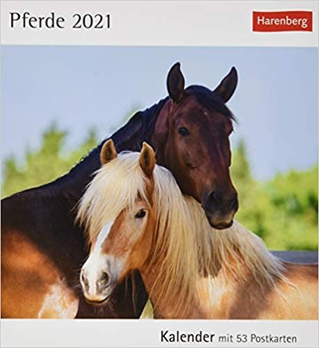 okumak Pferde 2021. Kalender mit 53 Postkarten