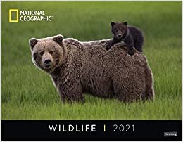 okumak Wildlife Posterkalender National Geographic Kalender 2021