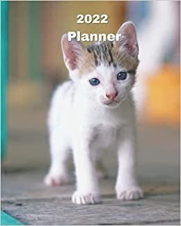 okumak 2022 Planner: White Kitten - 12 Month Weekly and Monthly Planner January 2022 to December 2022 -Monthly Calendar with U.S./UK/ ... 8 x 10 in.- Cats Breed Pets Kittens