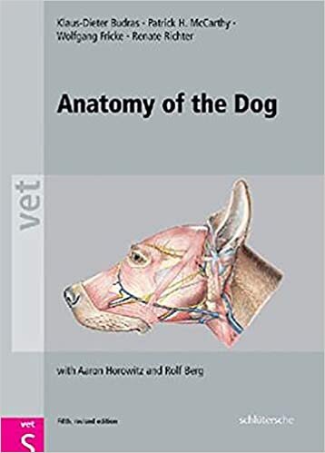 okumak Anatomy of the Dog: An Illustrated Text, Fifth Edition (Vet (Schlutersche))