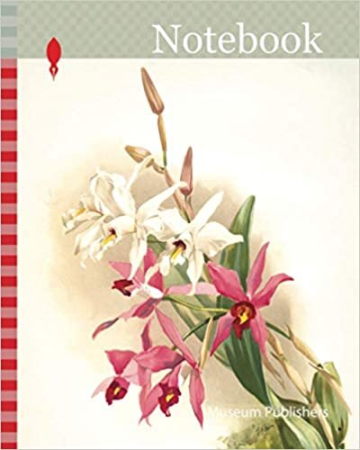 okumak Notebook: Orchid, Laelia anceps Stella &amp;amp, Barkeriana, Sander, F. (Frederick), 1847-1920, Mansell, Joseph, Lithographer, Moon, H. G