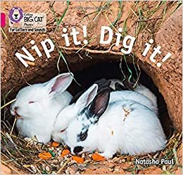 okumak Nip it! Dig it!: Band 01b/Pink B (Collins Big Cat Phonics for Letters and Sounds)