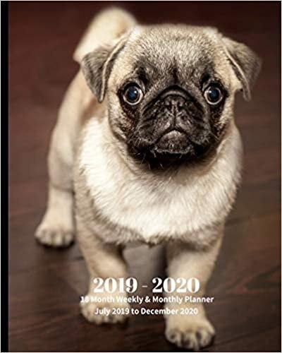 okumak 2019 - 2020 | 18 Month Weekly &amp; Monthly Planner July 2019 to December 2020: Pug Pup Dog Breed Pets Vol 2 Monthly Calendar with U.S./UK/ ... Holidays– Calendar in Review/Notes 8 x 10 in.