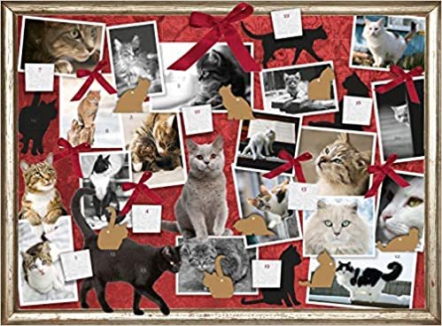 okumak Katzen - Freunde auf Samtpfoten: Adventskalender