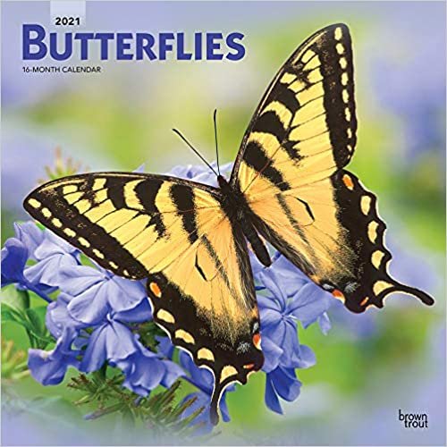 okumak Butterflies - Schmetterlinge 2021 - 16-Monatskalender: Original BrownTrout-Kalender [Mehrsprachig] [Kalender] (Wall-Kalender)