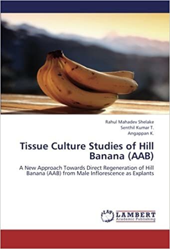 okumak Tissue Culture Studies of Hill Banana (AAB): A New Approach Towards Direct Regeneration of Hill Banana (AAB) from Male Inflorescence as Explants