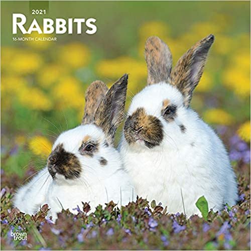 okumak Rabbits - Kaninchen 2021 - 16-Monatskalender: Original BrownTrout-Kalender [Mehrsprachig] [Kalender] (Wall-Kalender)