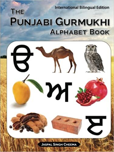 The Punjabi Gurmukhi Alphabet Book: International Bilingual Edition