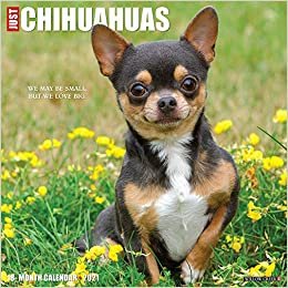 okumak Just Chihuahuas 2021 Calendar